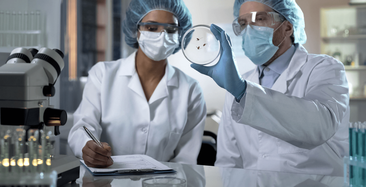 Insect Rearing Chambers IN023 BudgetFriendly Solution Insect