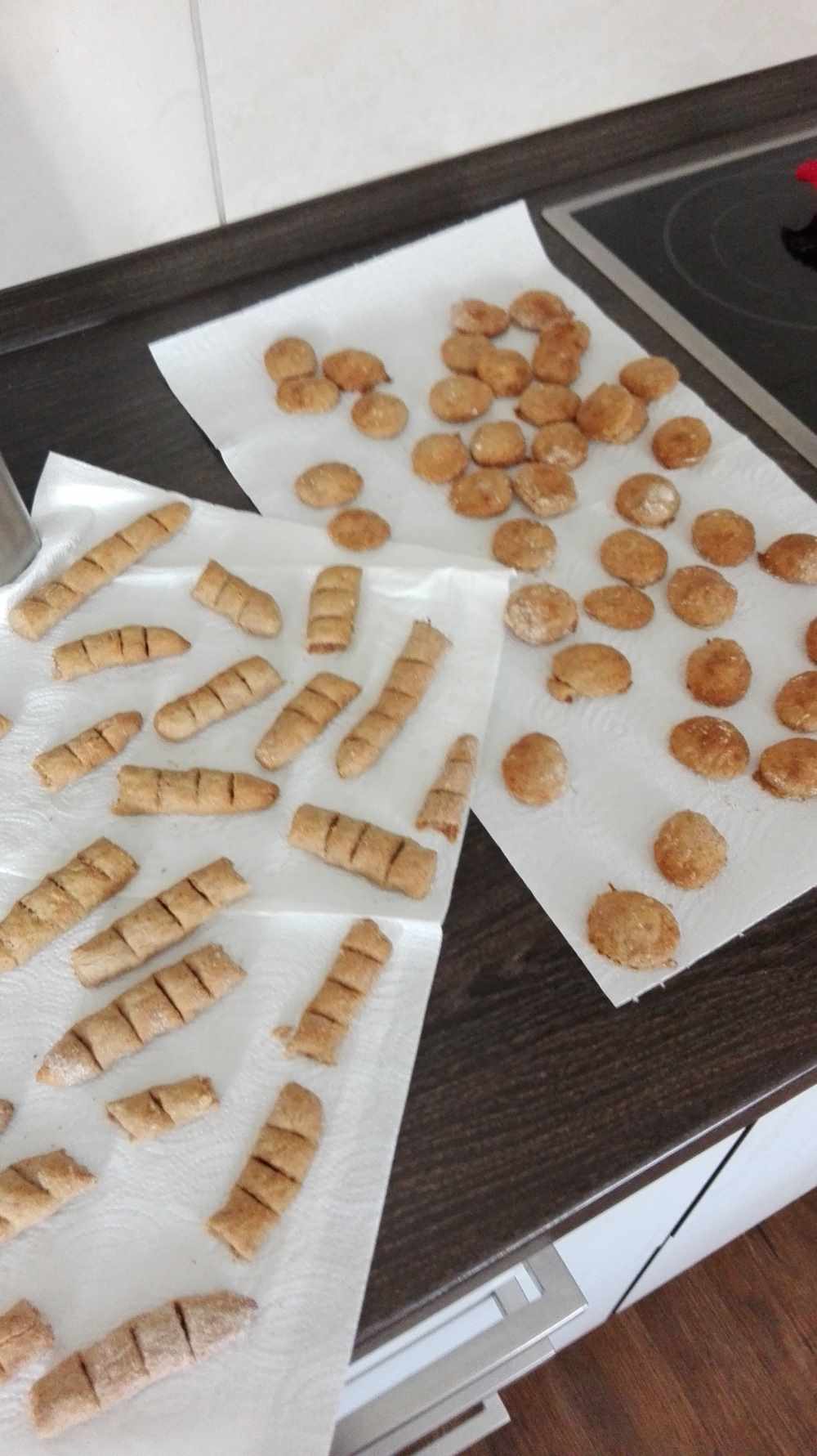 Backen für Katzen DAS Katzenhotel