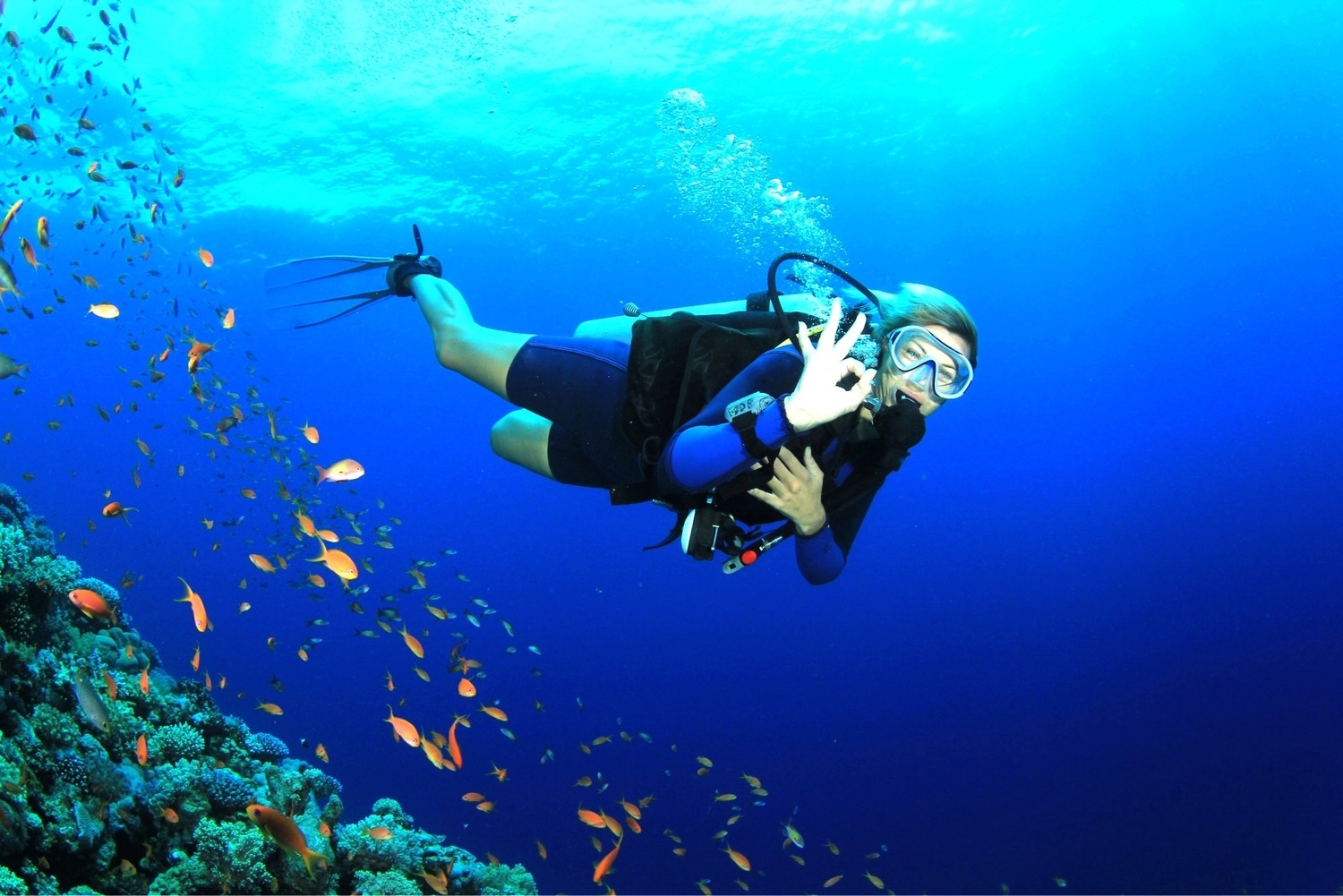 Scuba Diving for Non Swimmers Grand Island Das Tourism