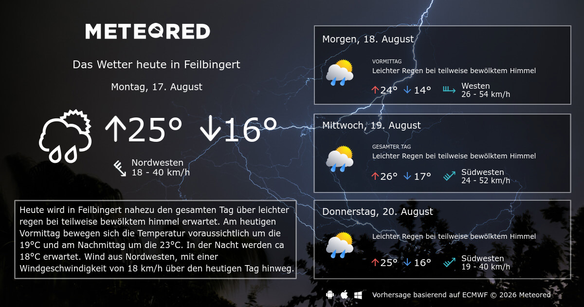 Wetter Feilbingert 14 Tage