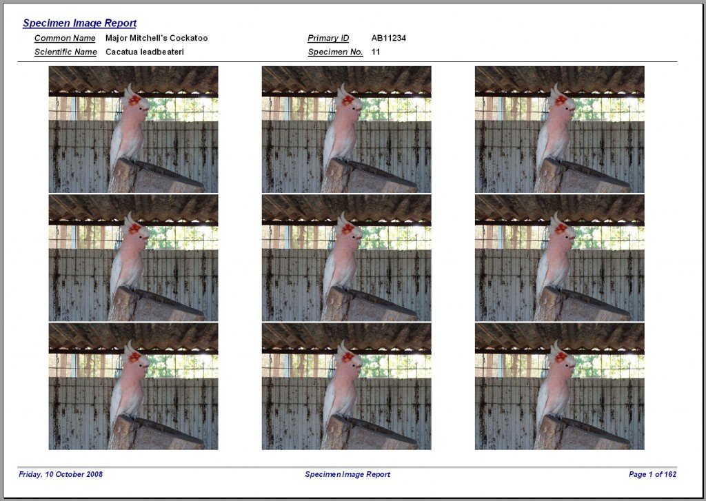 Bird Collector and Breeder Database Pro Database Base Australia