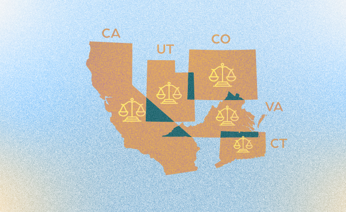 What are the US States with Data Privacy Laws? | DataGrail