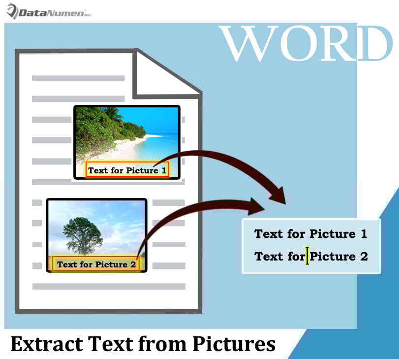 Word Extraction From Image EmeryzebSims