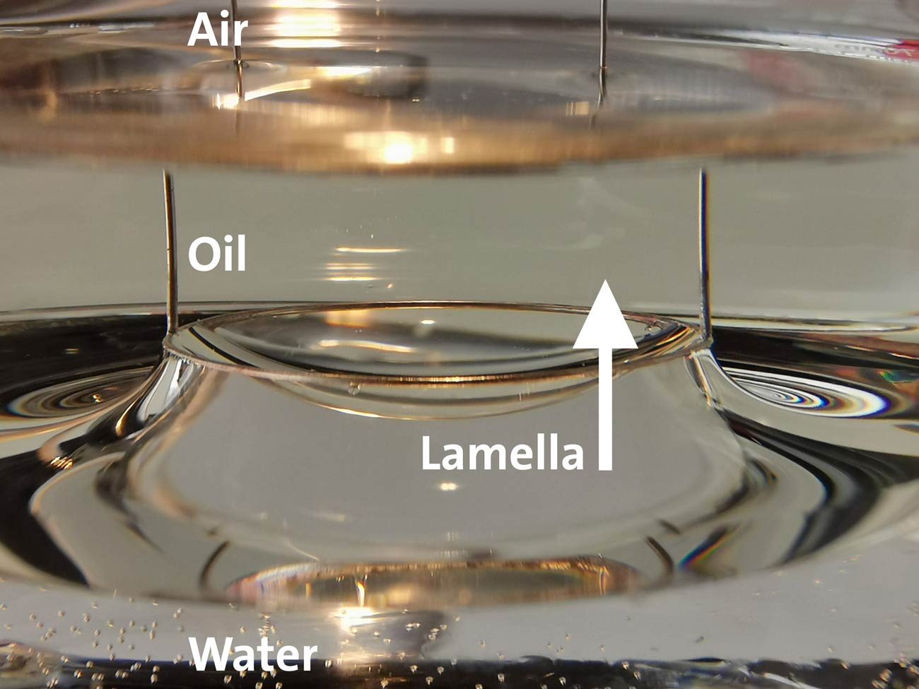 ASTM D971 Measurement of interfacial tension with a ring