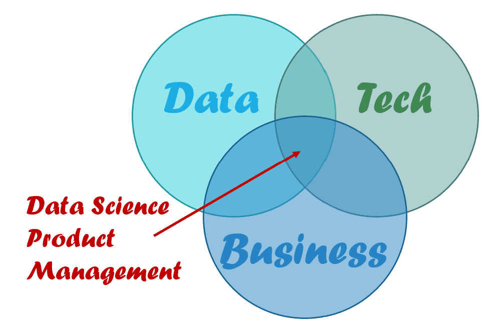 What is a Data Science MVP? Data Science Process Alliance