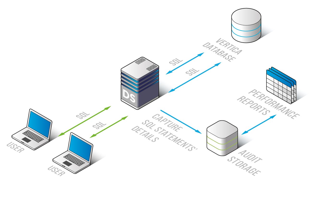 Vertica Database Performance Monitoring DataSunrise