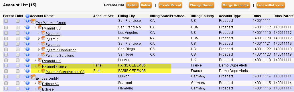 Organizing Account using DUNS Numbers DataTrim Your Data Laundry