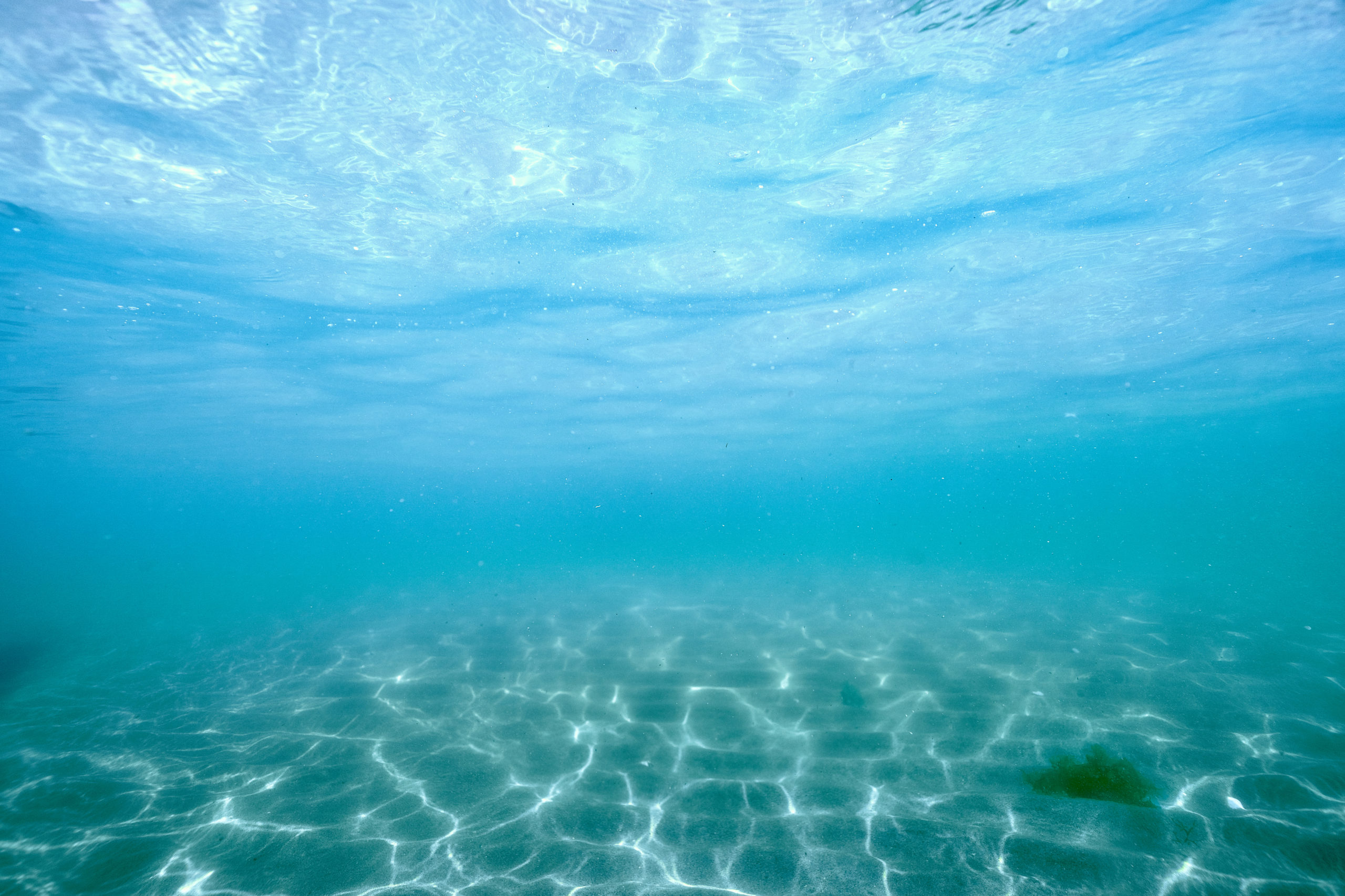 Diving Vacations Traveling