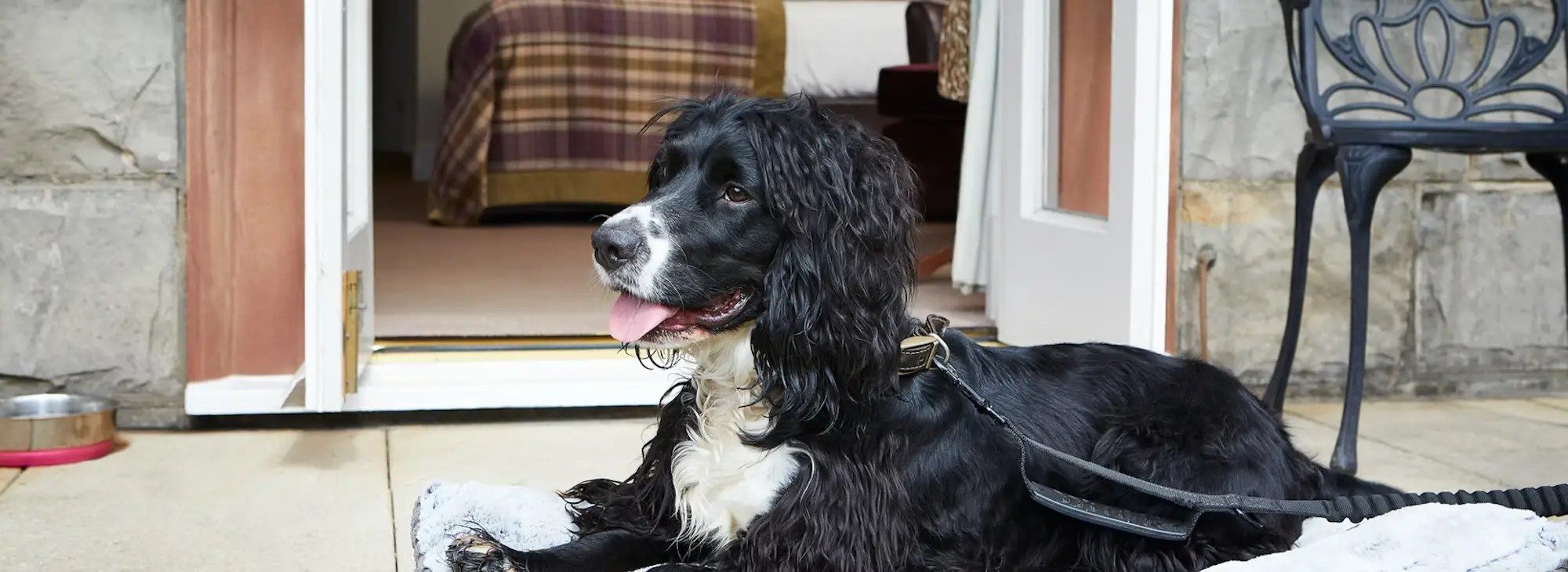 Dog Friendly Hotel in The Scottish Borders Cardrona, Peebles