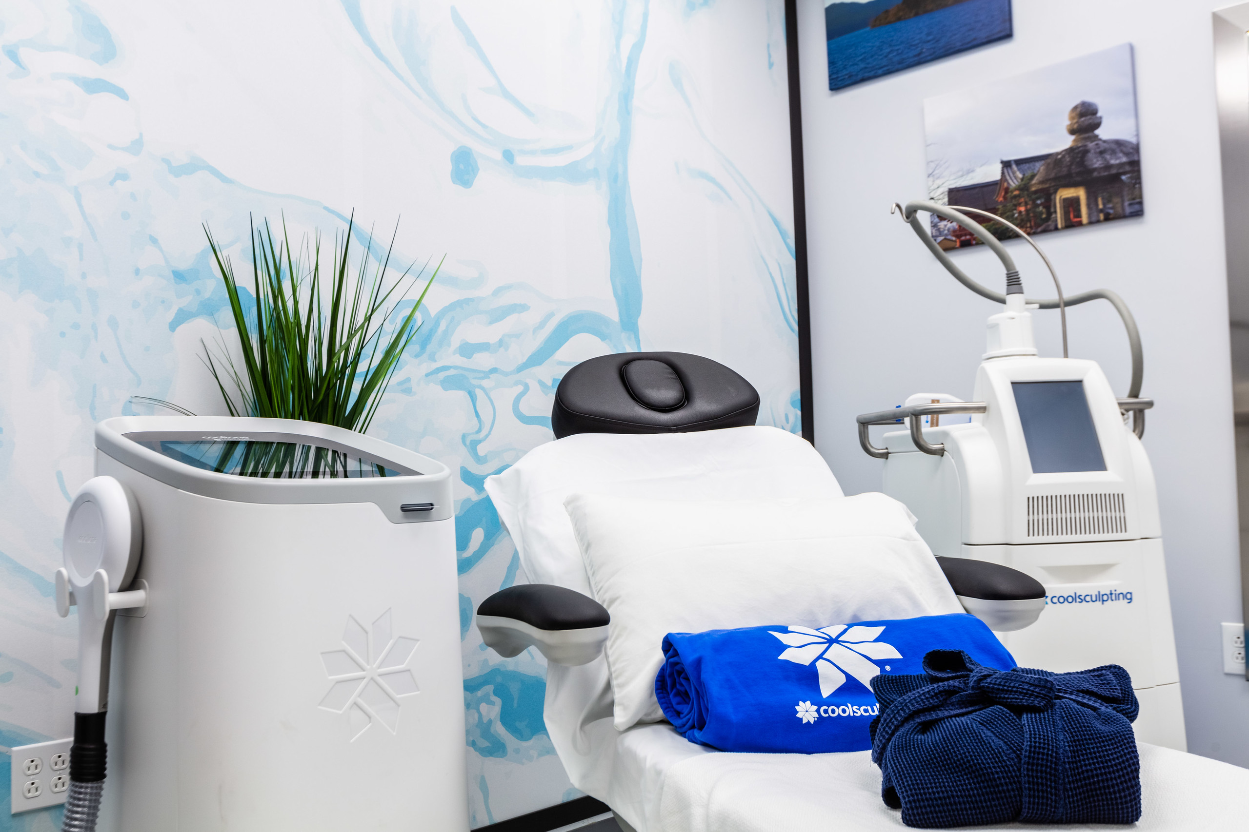All About Coolsculpting Elite ZL Medspa