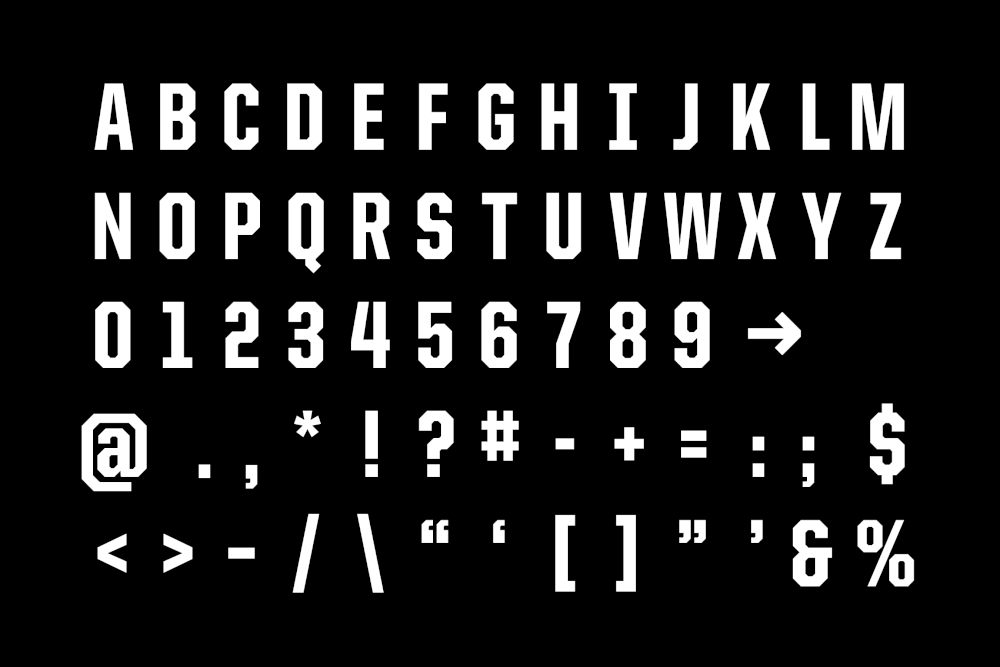 Disposable Film Festival