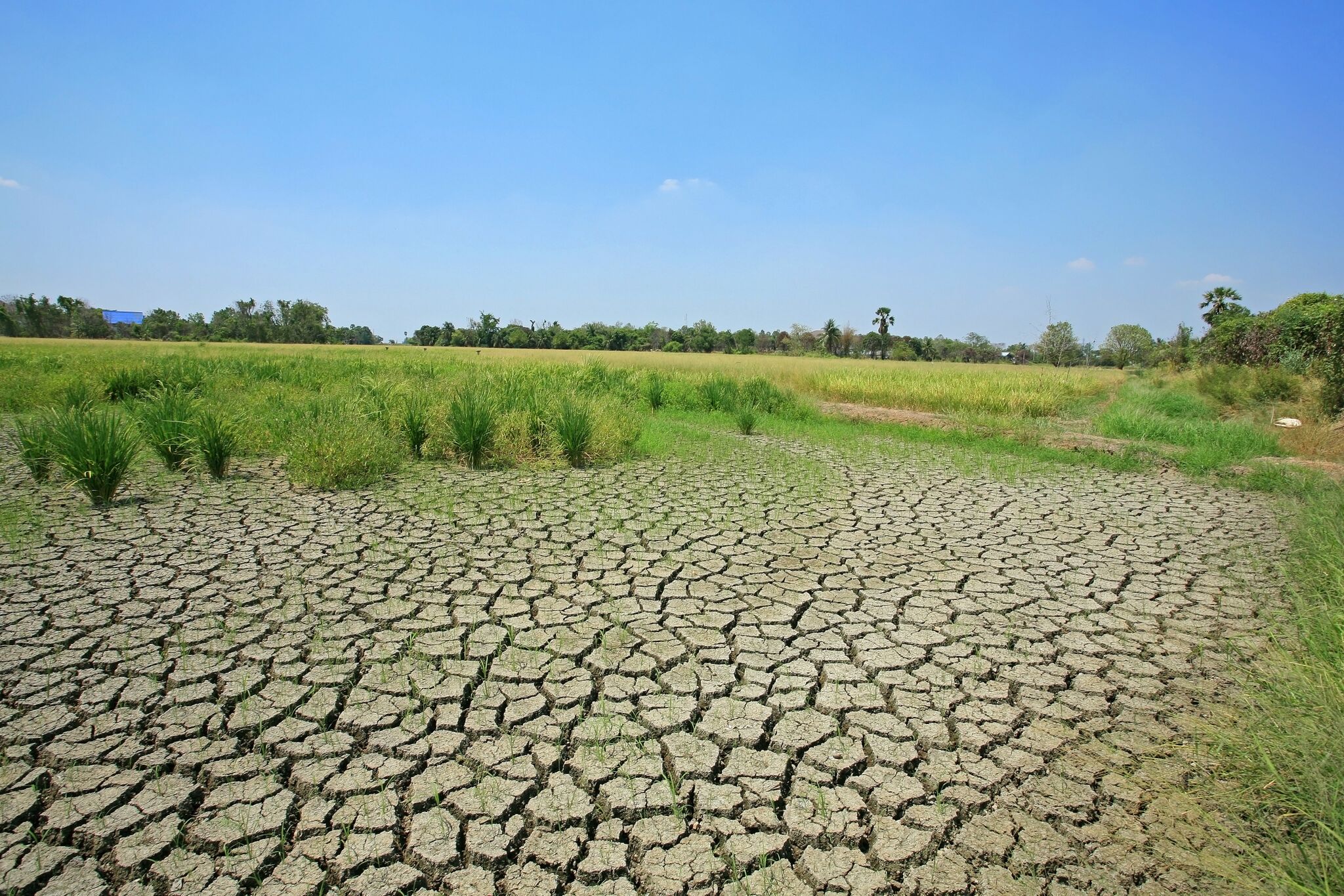 Land degradation as a threat to food security and a push factor for migration