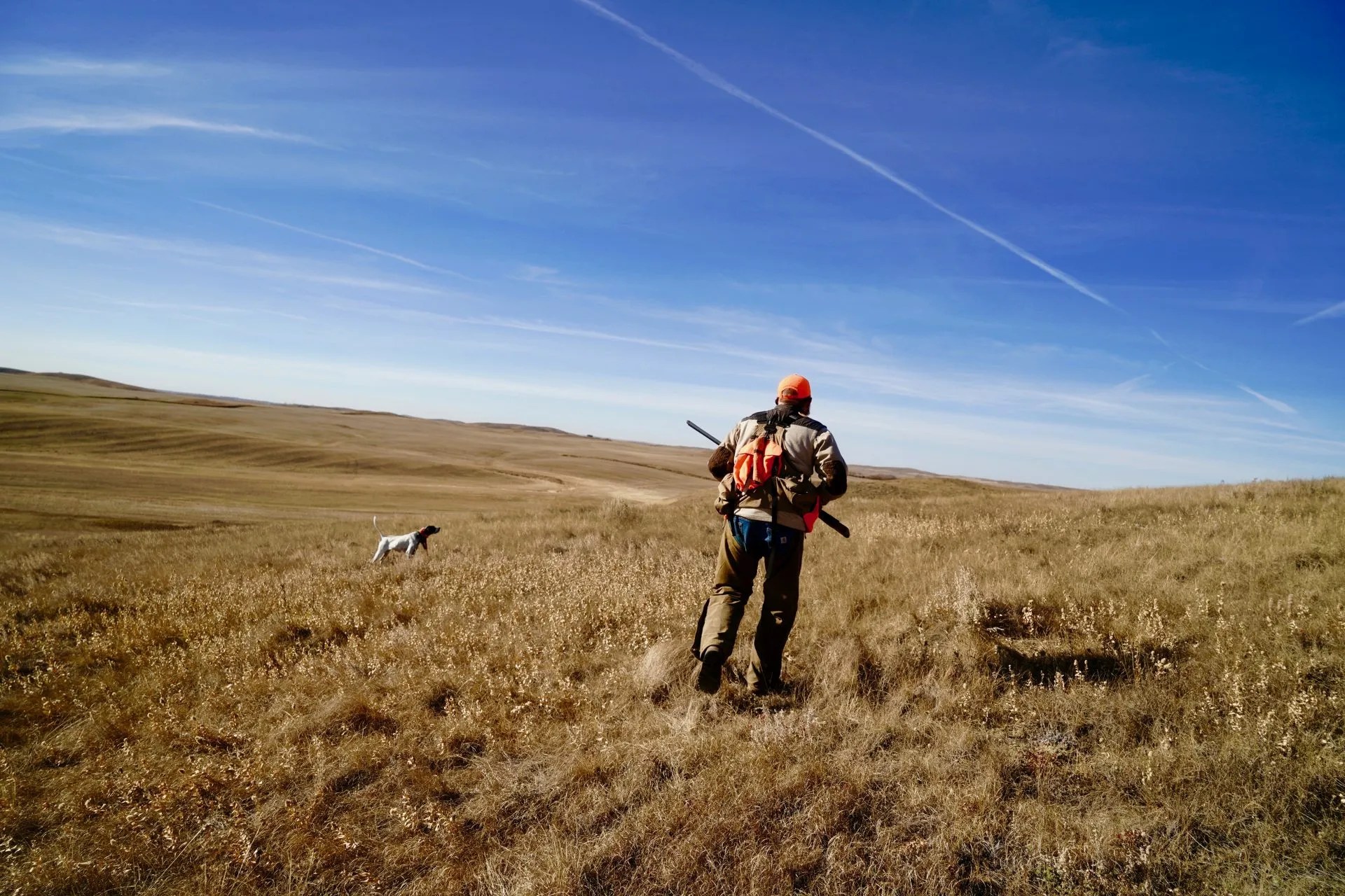 Arizona Quail Hunting Pics Dave Brown Outfitters FlyFishing and