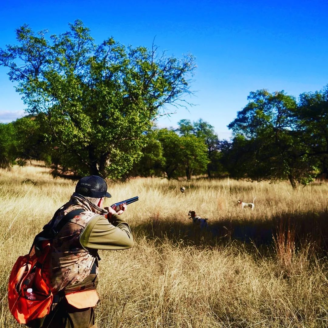 Best Chokes for Arizona Quail Hunting Dave Brown Outfitters Fly