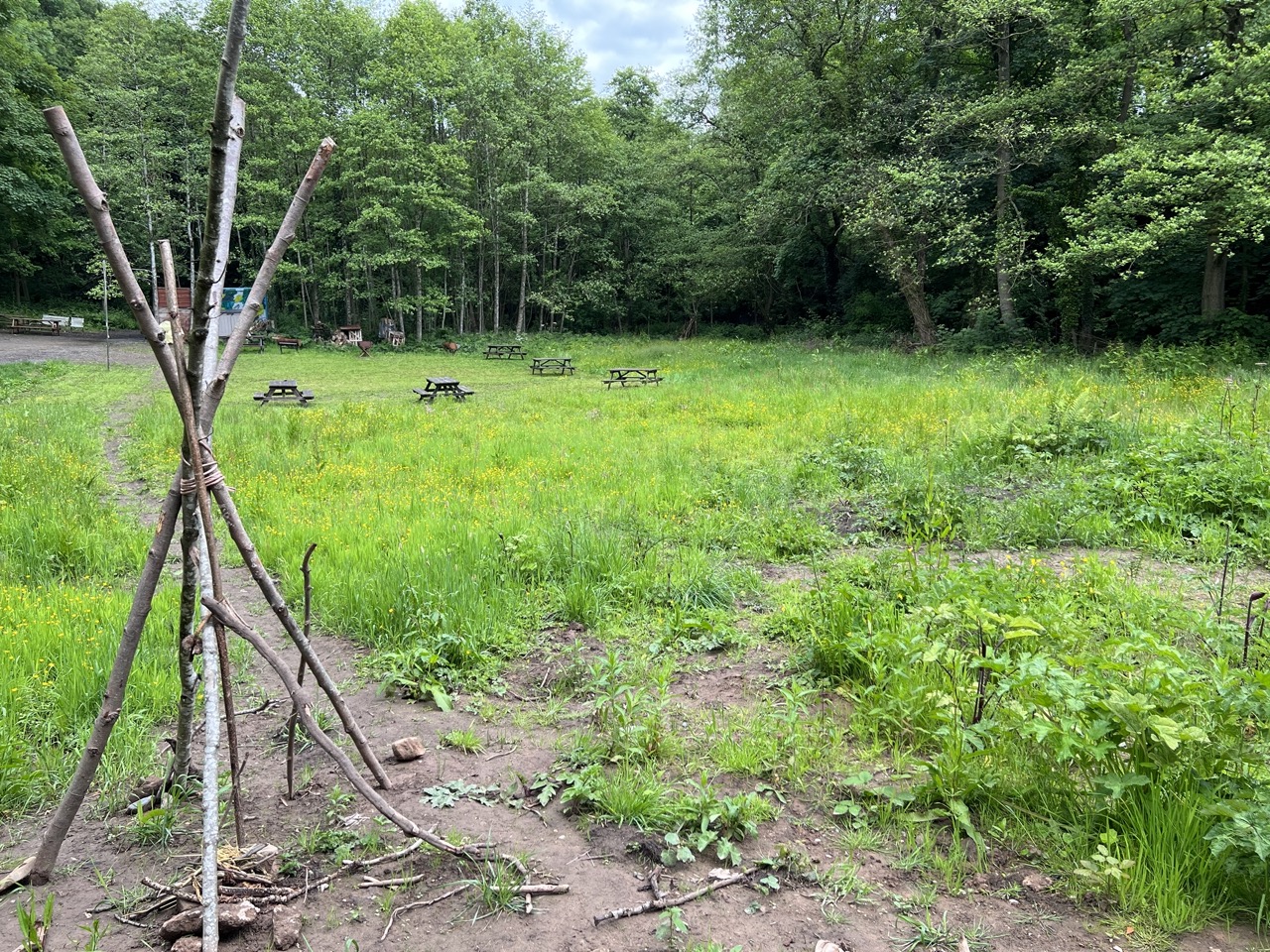 1st Davenham Scout Group Skills for Life