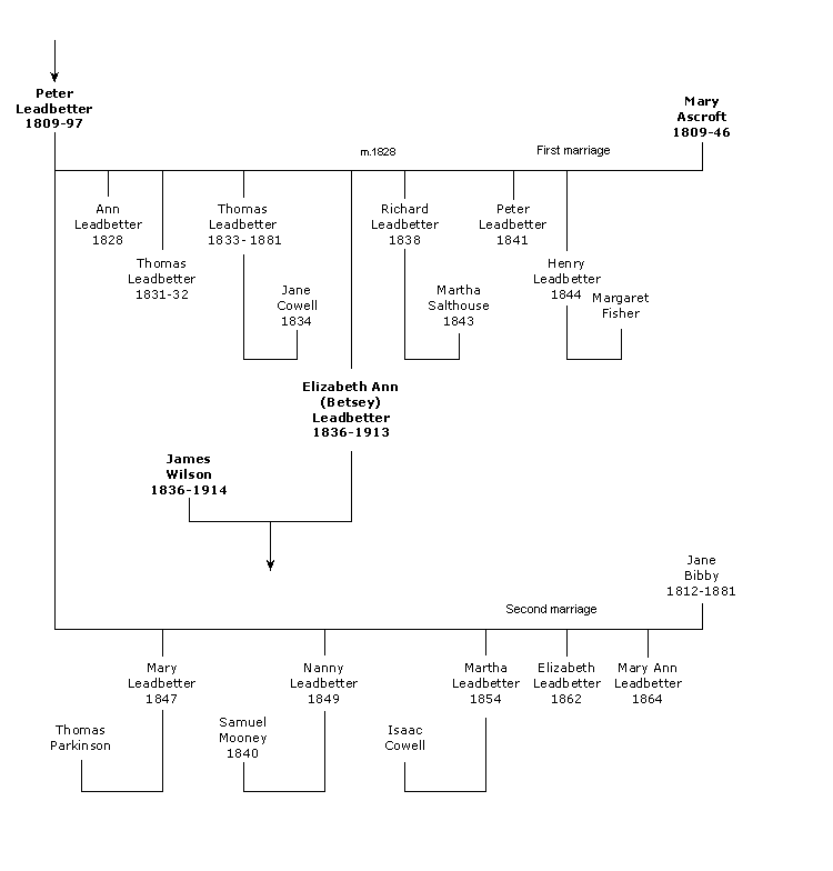 Leadbetter Family Tree (7)