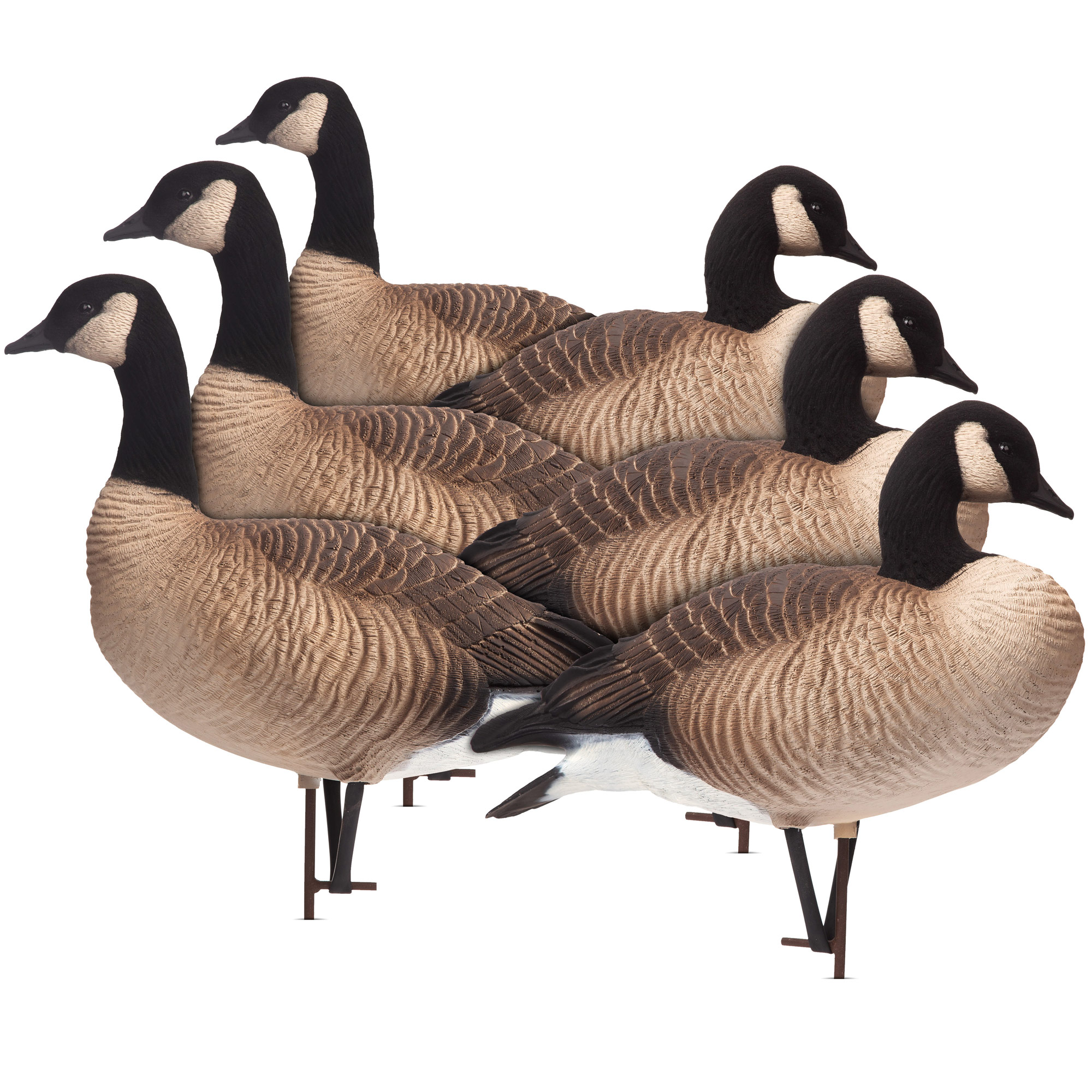 Goose Repellent Decoys at Kathy Fleischmann blog