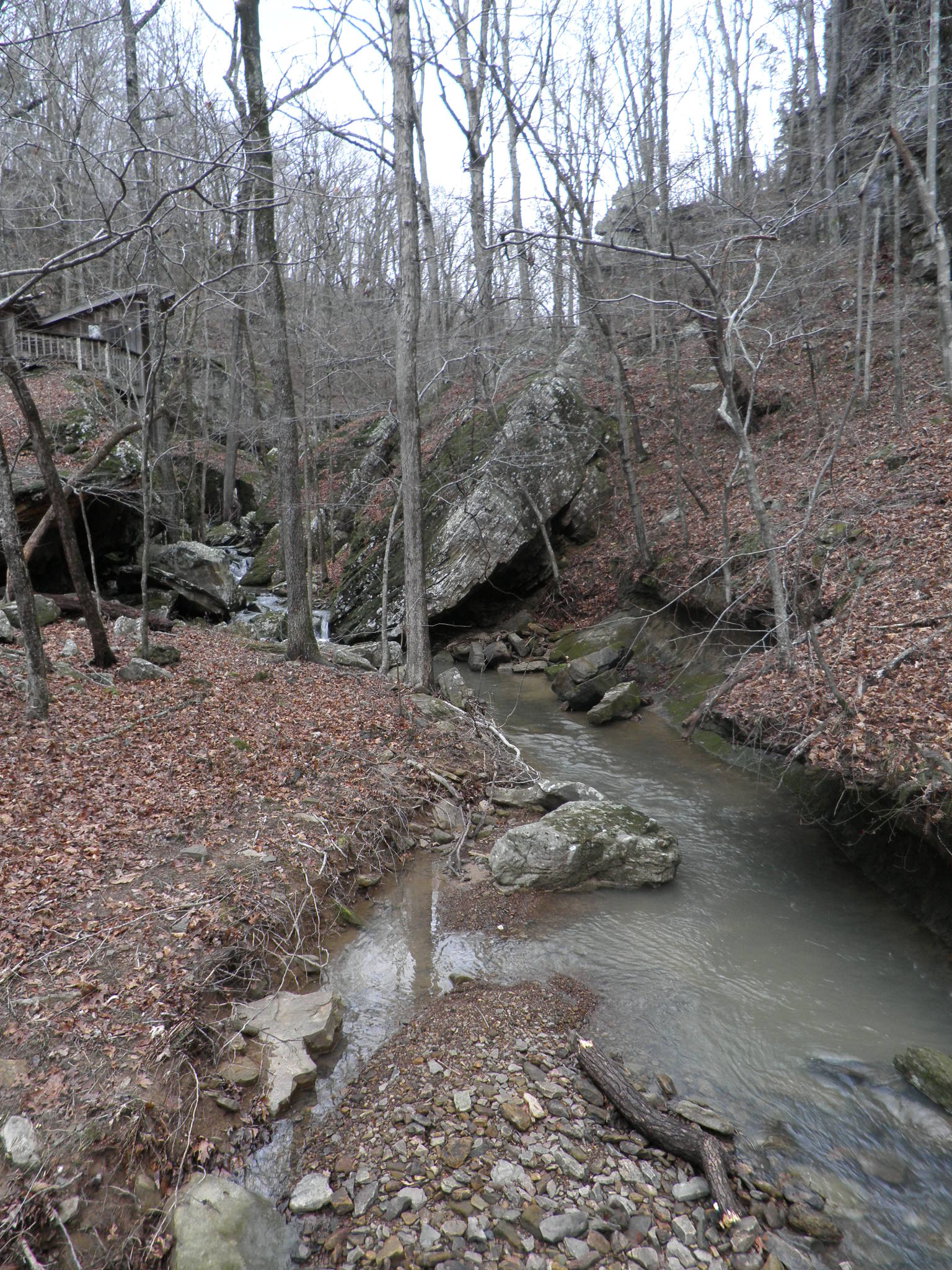 Our 29th Wedding Anniversary Longbow Resort, Prim, Arkansas