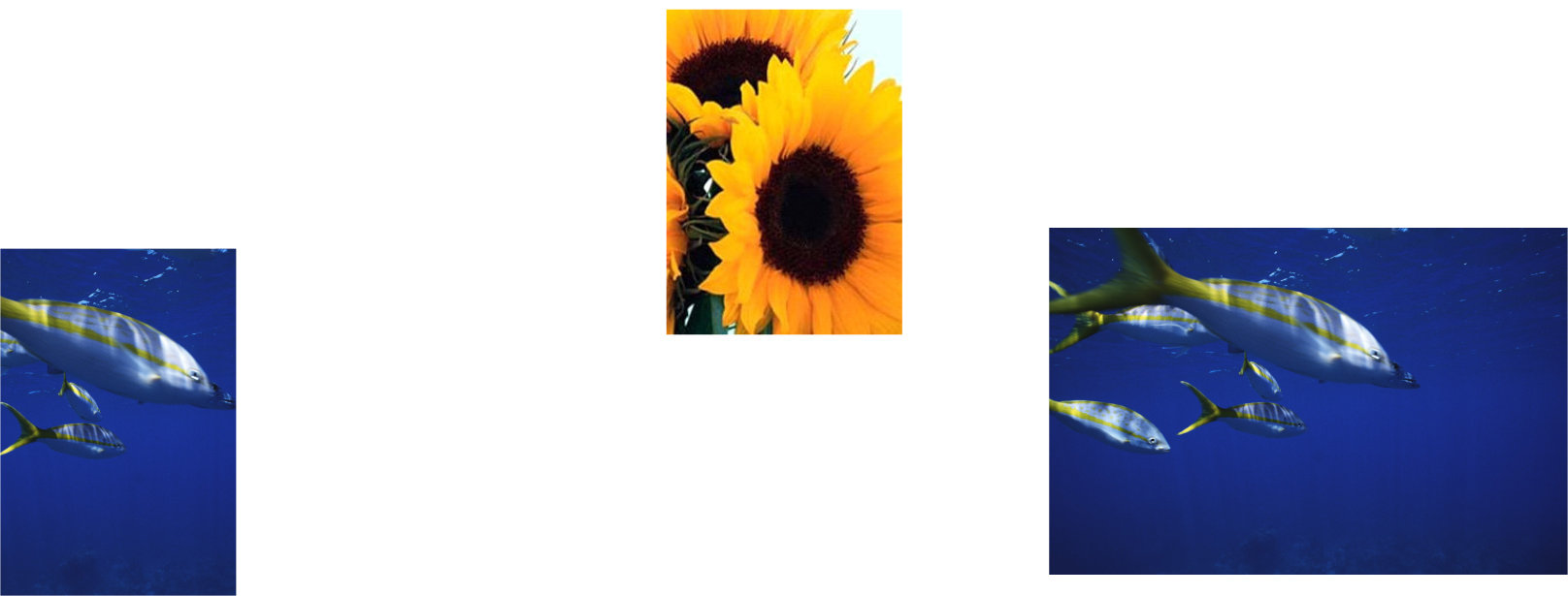 David Bowden Law Registered Details