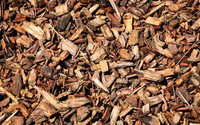 Should we use fresh or composted bark chippings in the garden?