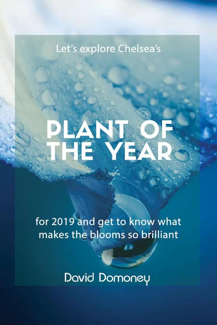 What does perennial, biennial and annual plants mean?