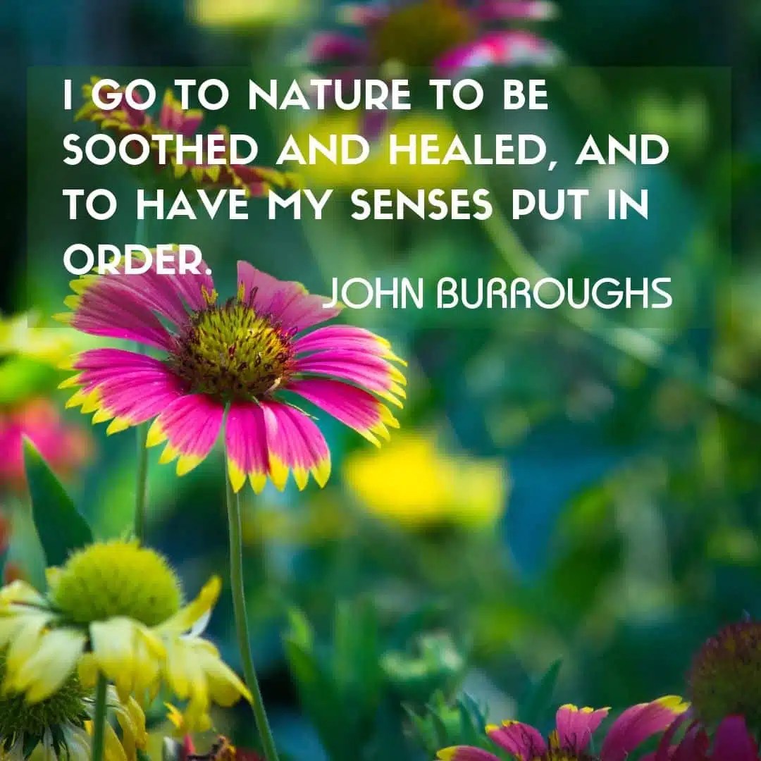 Inspirational quotes 35 more on gardening and nature David Domoney