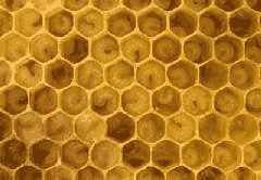 Patterns in nature (1)