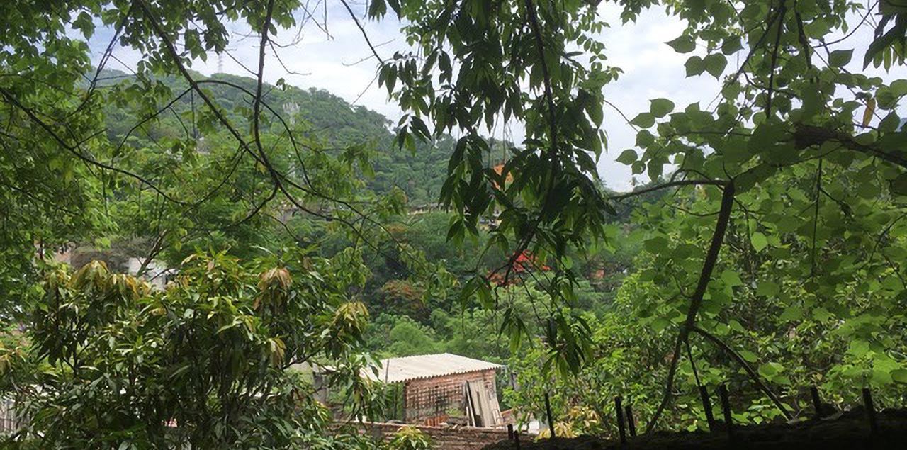 Luxury Real Estate Puerto Vallarta David Pullen Real Estate Puerto