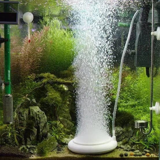 Air Bubbler For Fish Tank David's Aquarium Advice