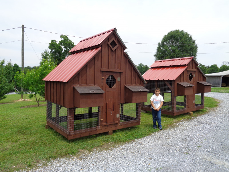 Previously Built David's Chicken Coops