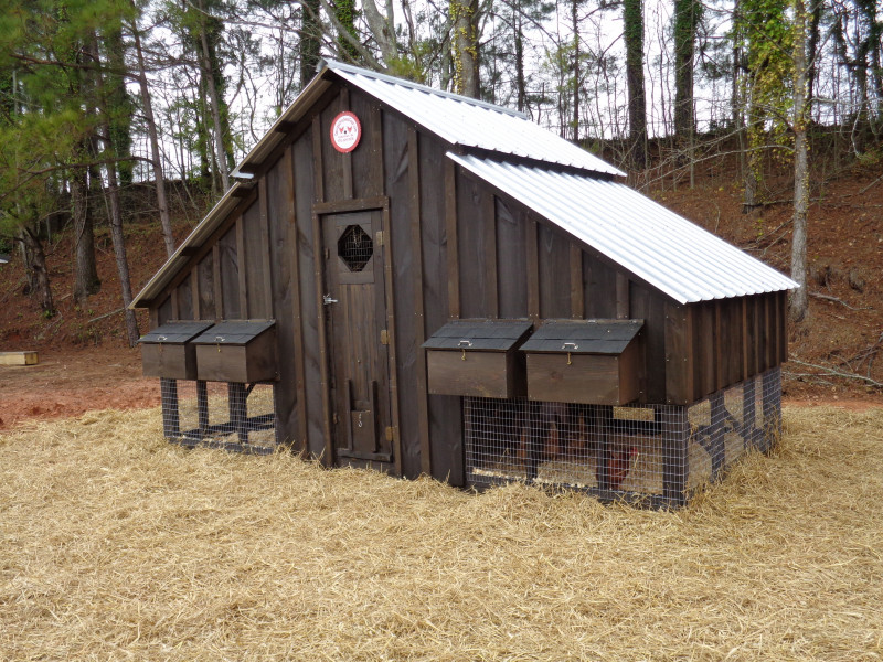 Previously Built David's Chicken Coops