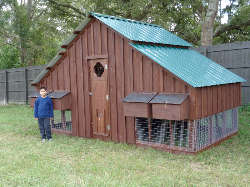Previously Built David's Chicken Coops