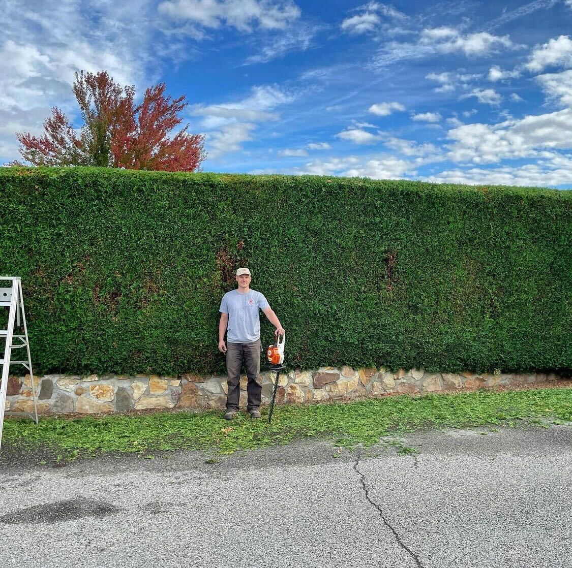 Gallery Davidson Tree Care