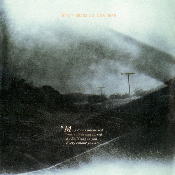 Rain Tree Crow (Chinese counterfeit) David Sylvian Expect