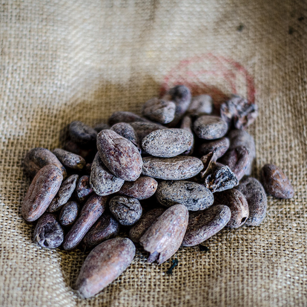Roasted Cocoa Beans Ivory Coast David Vanille