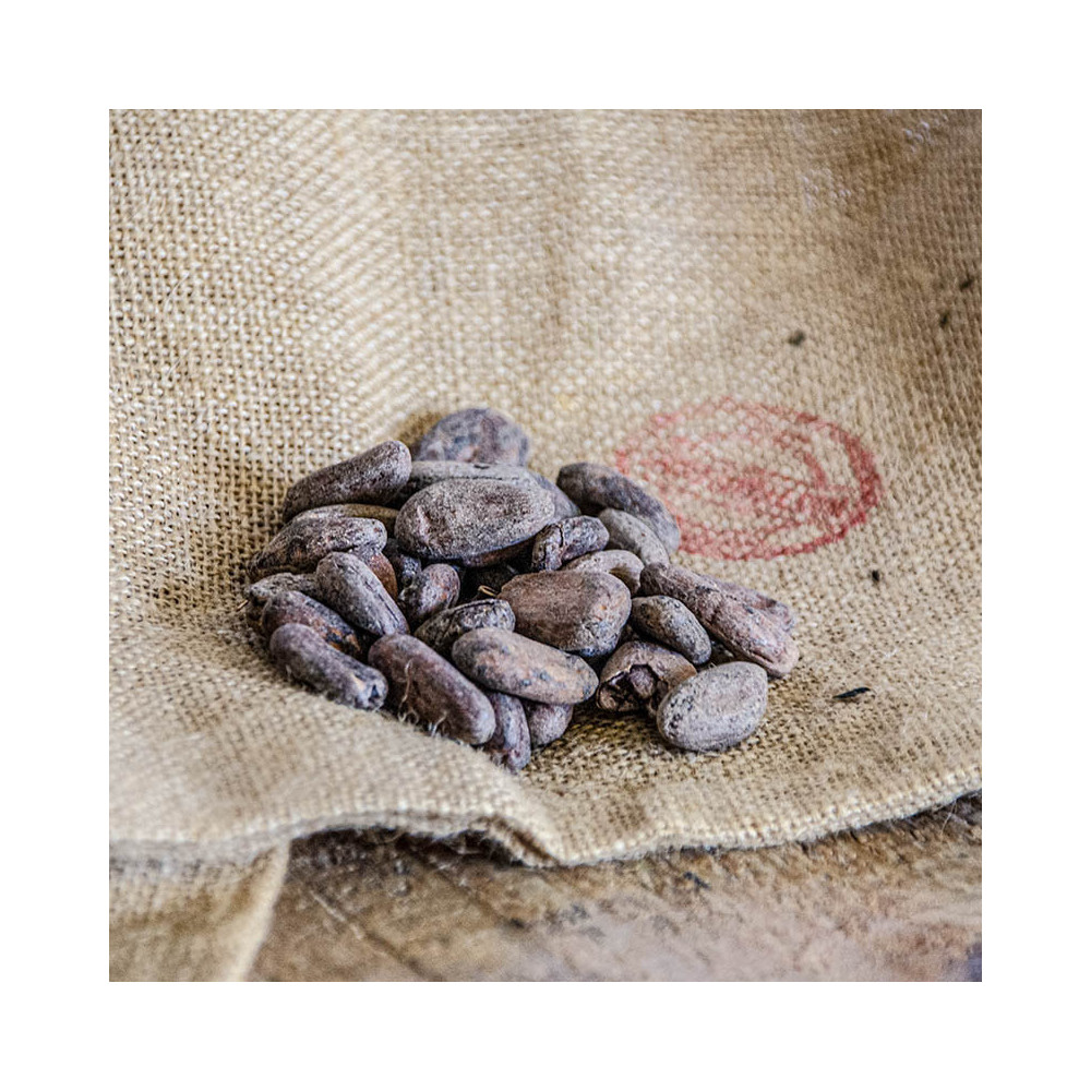Roasted Cocoa Beans Ivory Coast David Vanille