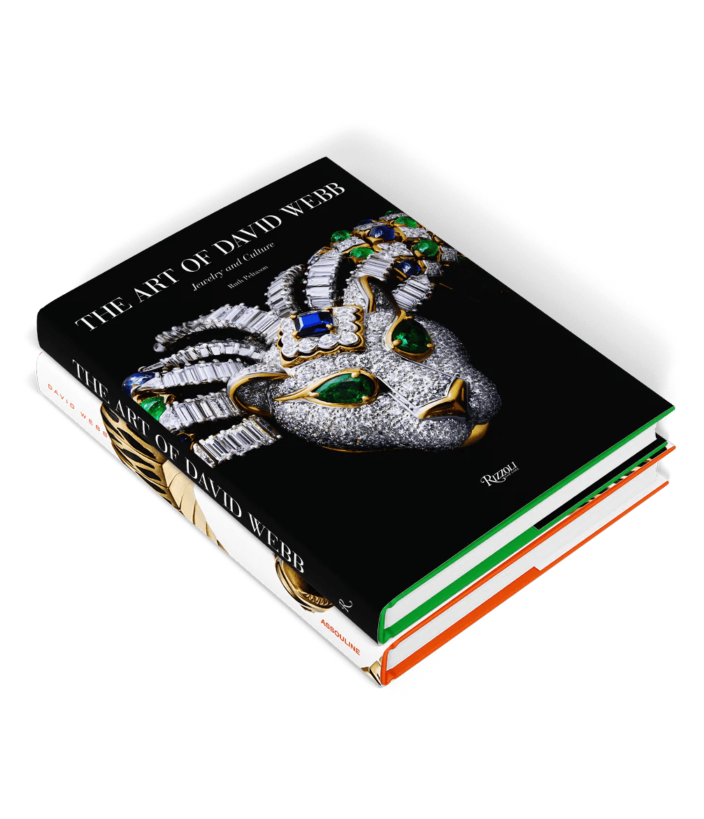 The David b Compilation Hardcover Book Set David b New York