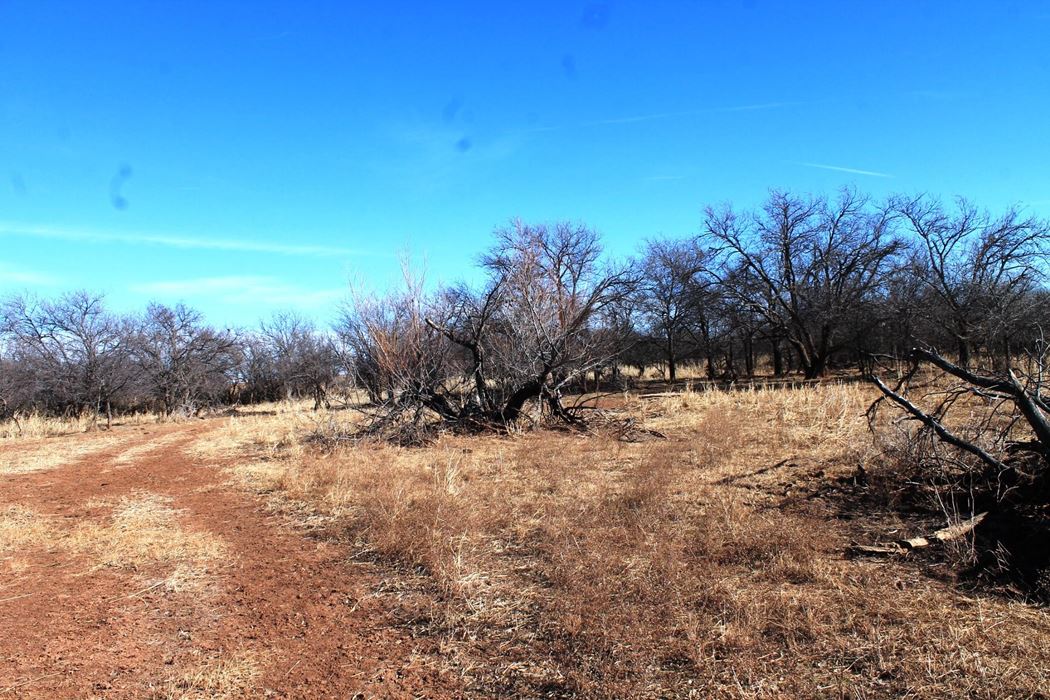 Farm & Hunting Cottle Davis Vernon Real Estate Davis Vernon Real Estate