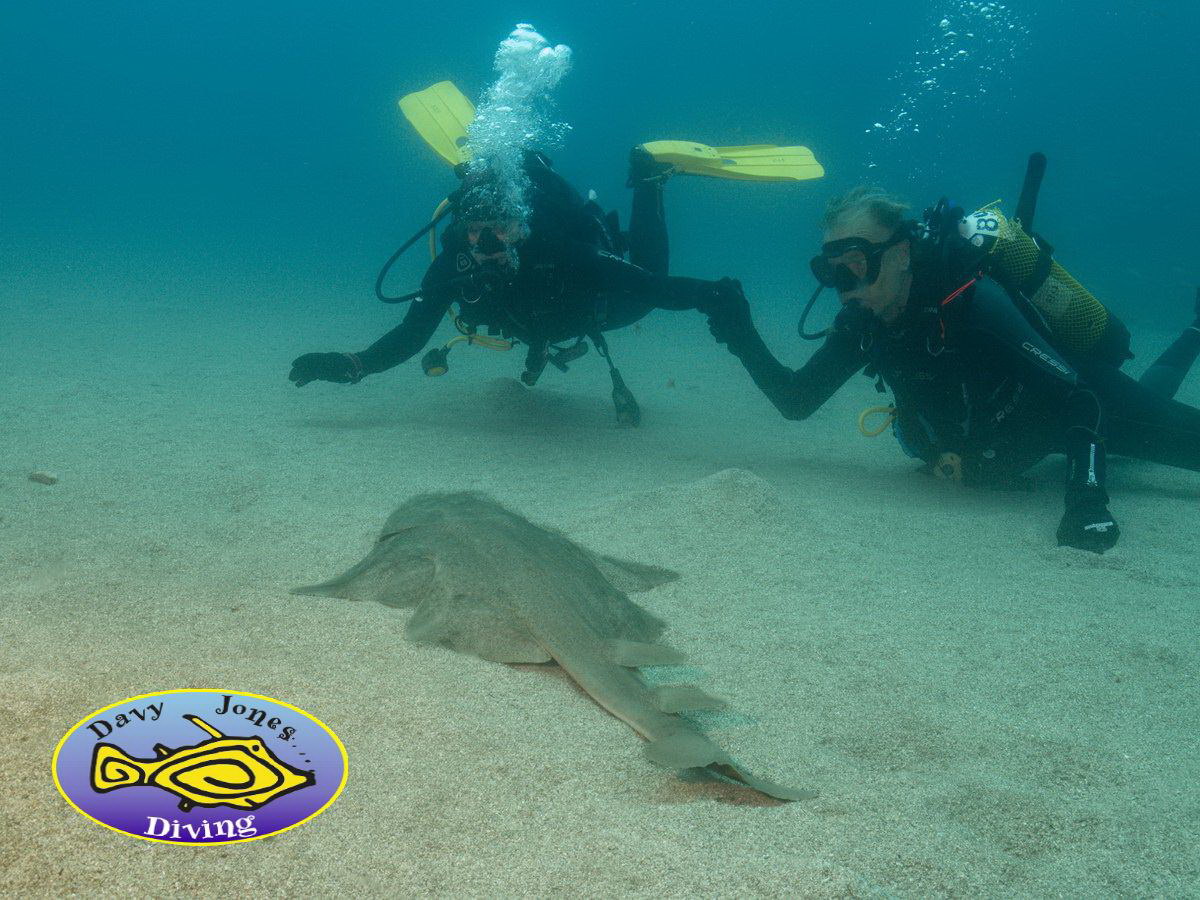 Gran Canaria Diving Photo of the Week Davy Jones Diving