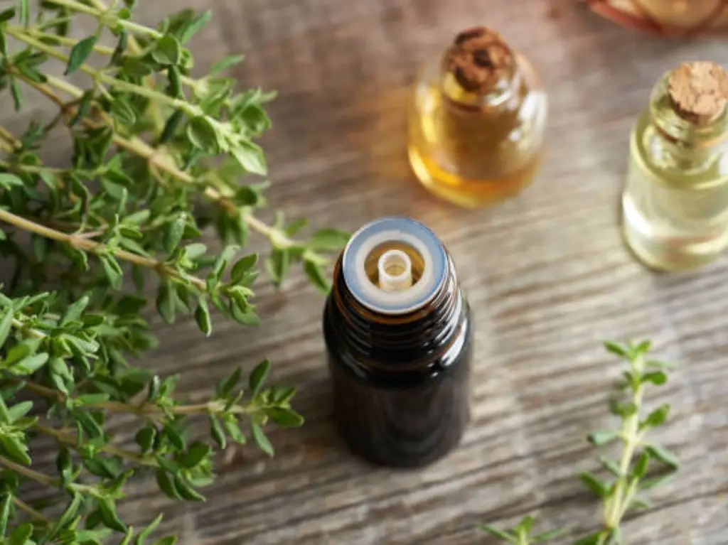 How to Clean Essential Oil Bottles Expert Guide