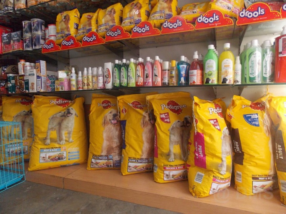 EMPIRE PET WORLD DAYNIGHT MEDIA SERVICE JAMMU BAZAAR