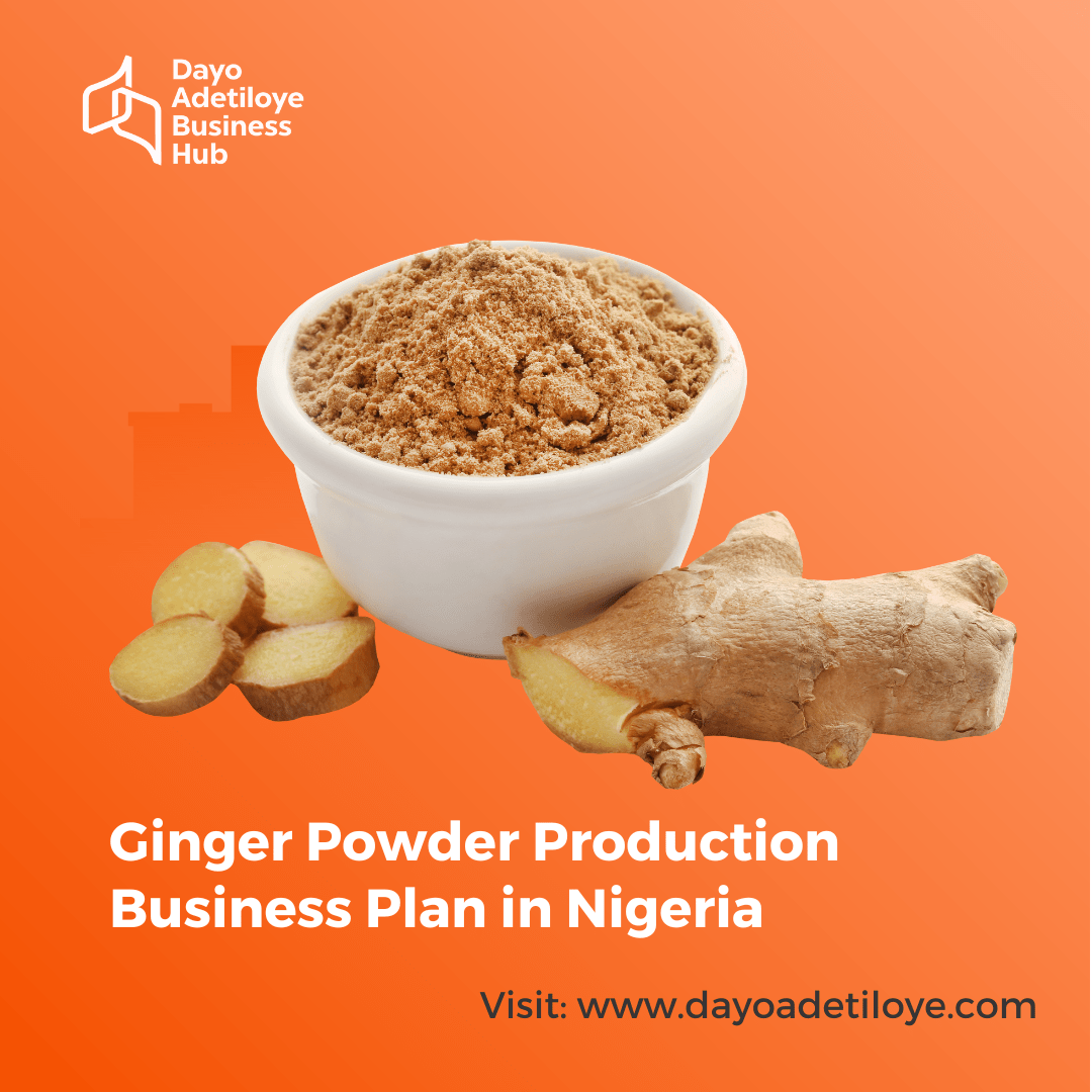 GINGER POWDER PRODUCTION BUSINESS PLAN IN NIGERIA