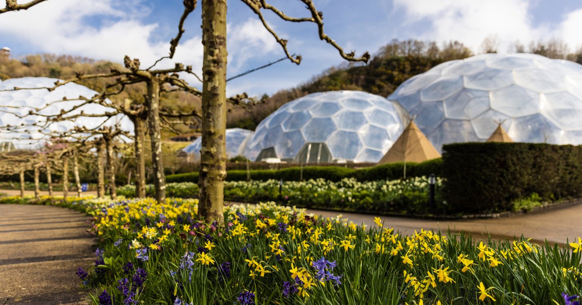 Nature's Playground at Eden Project DOWTK