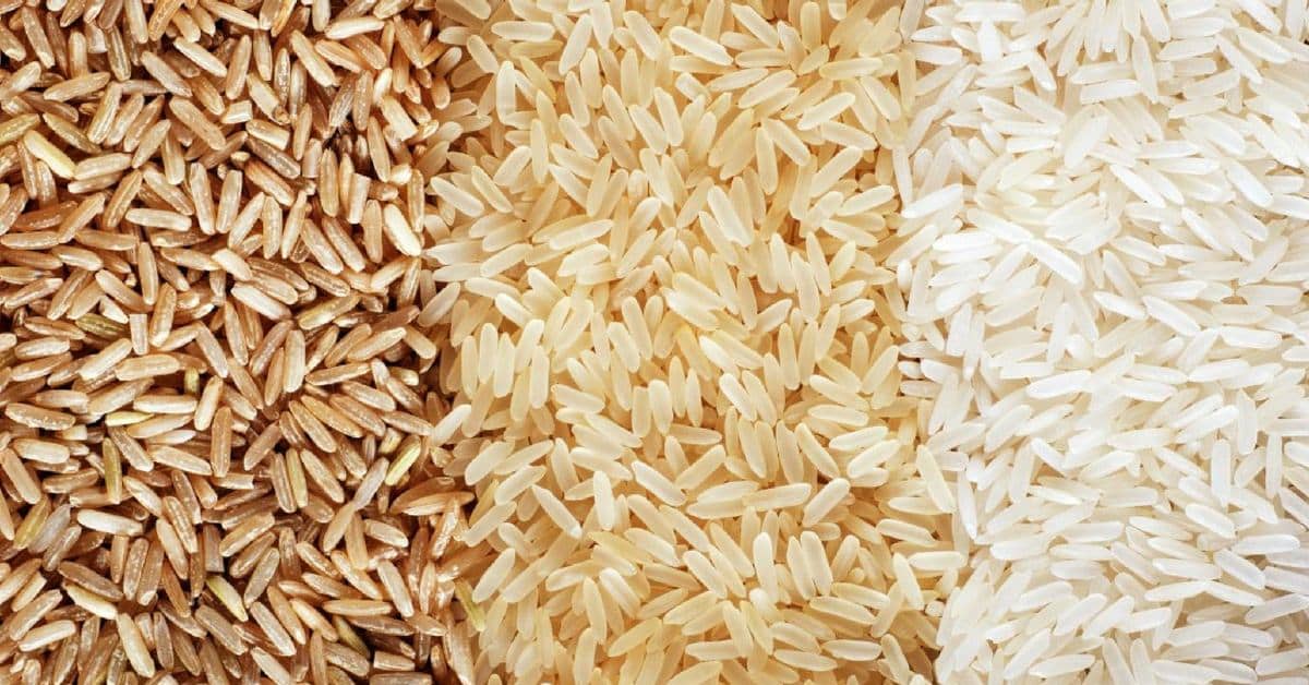 Top 15 Most Popular Wild Rice Vs White Rice Easy Recipes To Make at Home