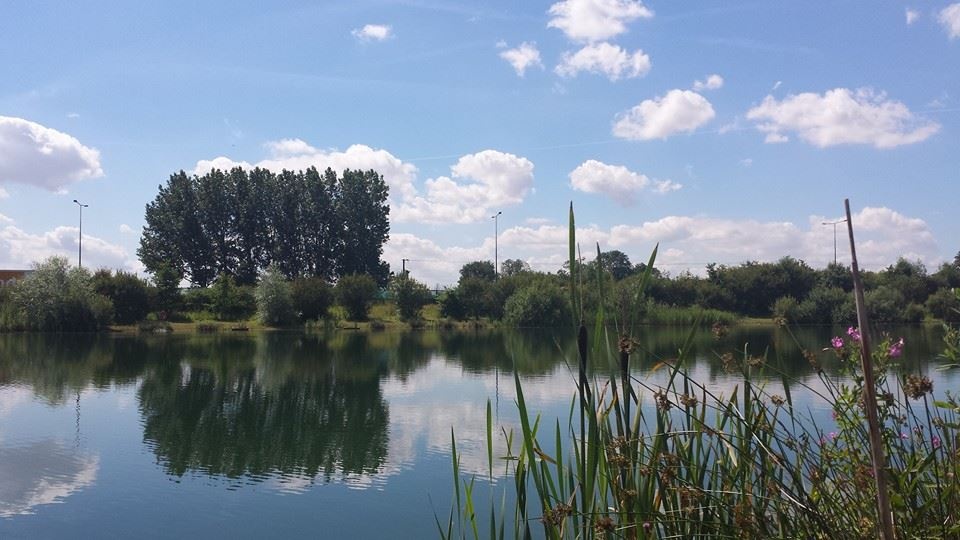 Five Acre Lake (Yorkshire) Day Ticket Lakes