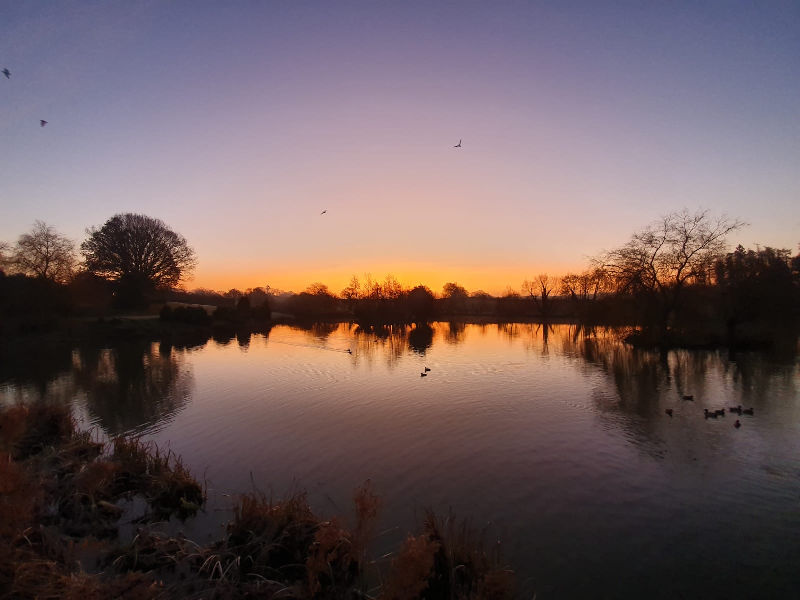 Hawkhurst Fish Farm (Kent) Day Ticket Lakes