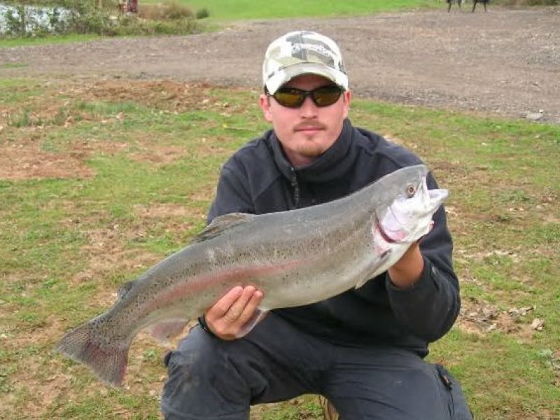 Hazelcopse Trout Fishery (Rudgwick, Surrey) Day Ticket Lakes