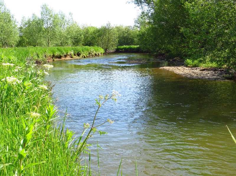 River Rye (Brawby, Yorkshire) Fishing Lake Day Ticket Lakes