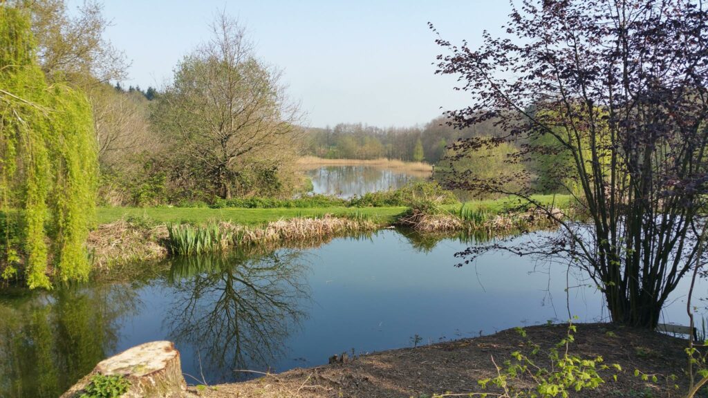Spring Hill Trout Waters (Tunbridge Wells, Kent) Day Ticket Lakes