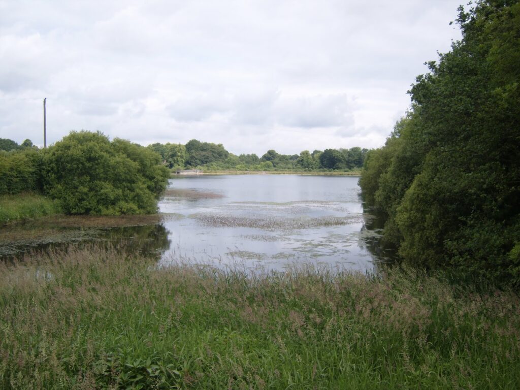 Appleton Reservoir (Warrington, Cheshire) Fishing Lake Day Ticket Lakes